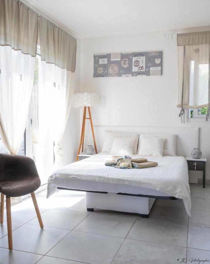 Gite "Le Mesminois" Etablissement Avec Espace Bien-Etre Et Sauna Saint-Mesmin  Buitenkant foto